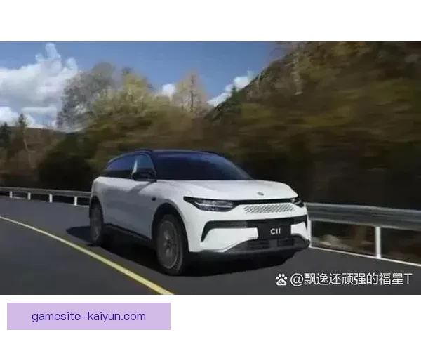 中国拒绝后土耳其态度骤变比亚迪宣布扭转吃亏局面